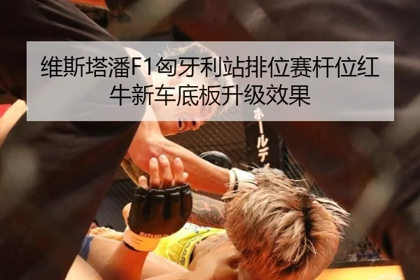 维斯塔潘F1匈牙利站排位赛杆位红牛新车底板升级效果